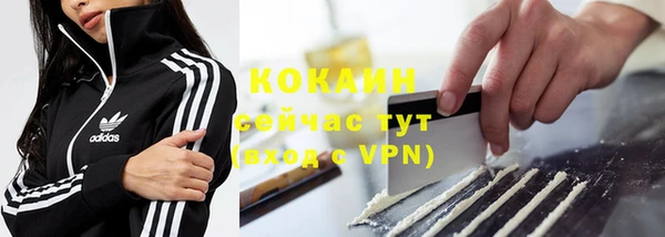 спиды Алзамай